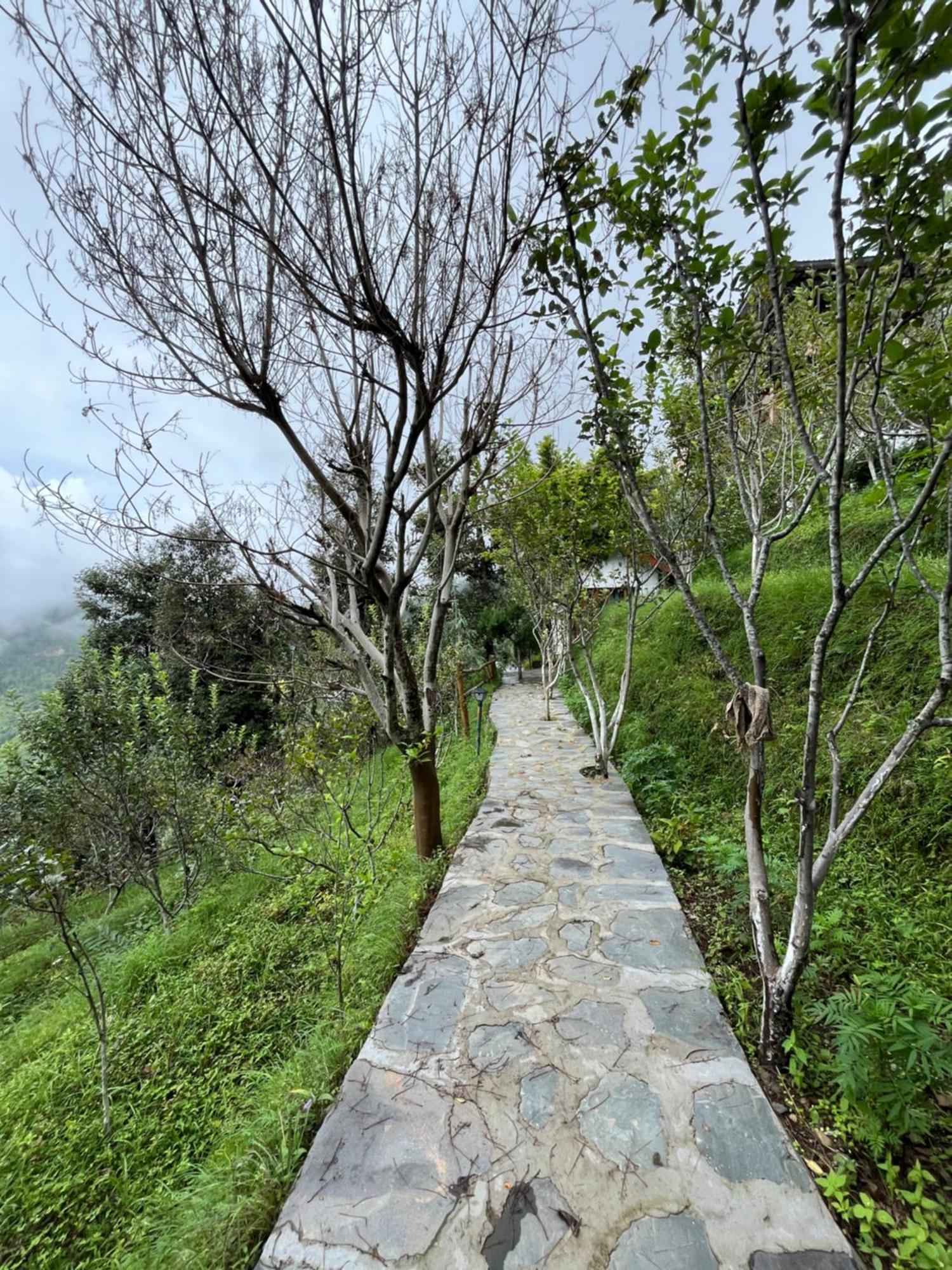 Apple Garden Cottages And Restaurant Dhanaulti Exterior photo